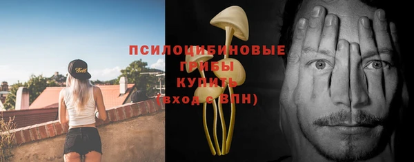 бошки Алексеевка