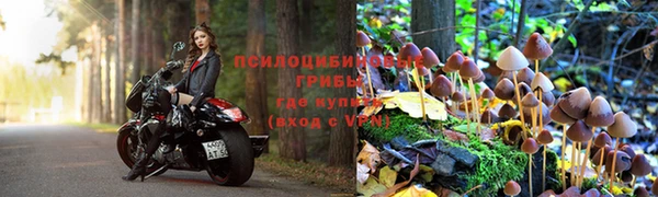дживик Алексин