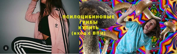 бошки Алексеевка