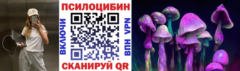 OMG зеркало  Осинники  Галлюциногенные грибы мицелий 