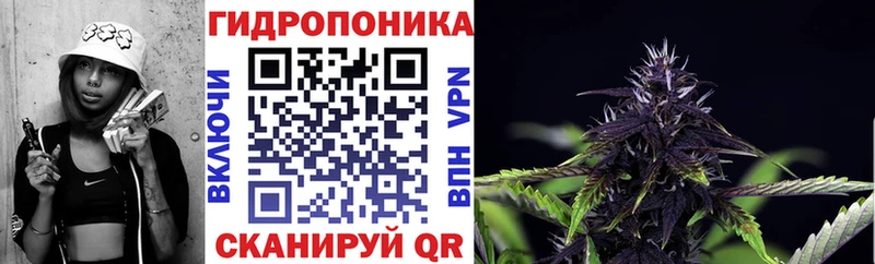 ОМГ ОМГ онион Осинники Каннабис конопля